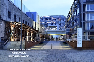 THE RHEINAUHAFEN AT THE BLUE HOUR